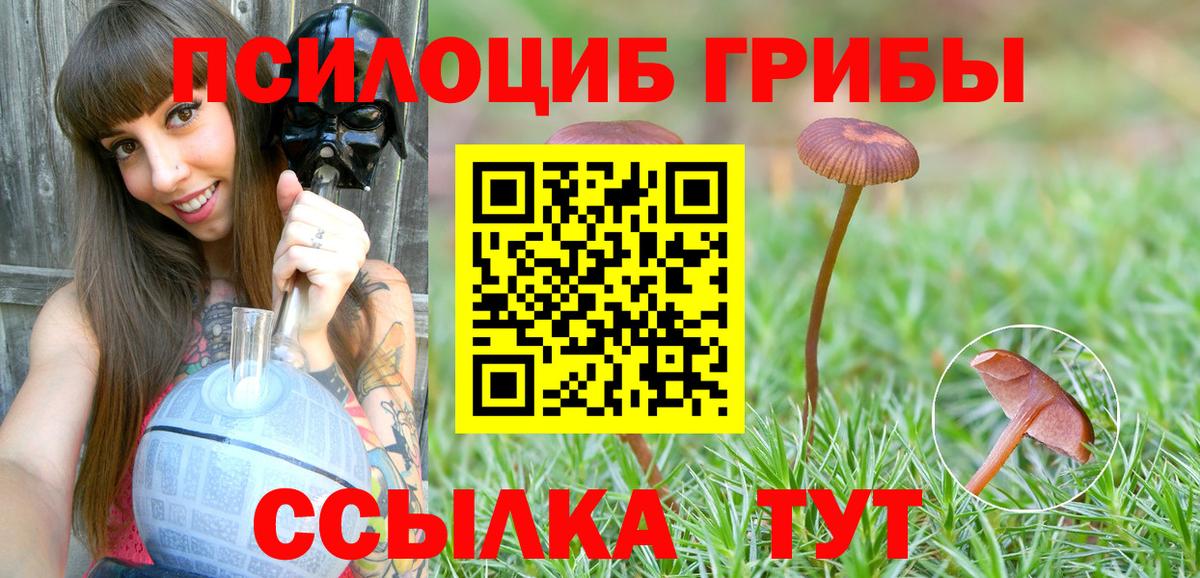 Псилоцибиновые грибы ЛСД  Вход с VPN  Гусиноозёрск 
